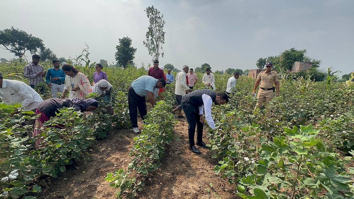 Jalgaon: Collector Visits Farmers’ Fields To Assess Crop Damage Amid Drought-Like Conditions