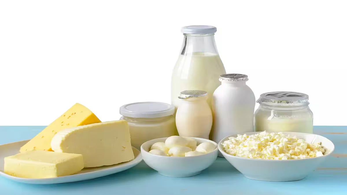 Nashik: India Exports 38,916 Tonnes Of Dairy Products, Earns ₹1,391 Crore