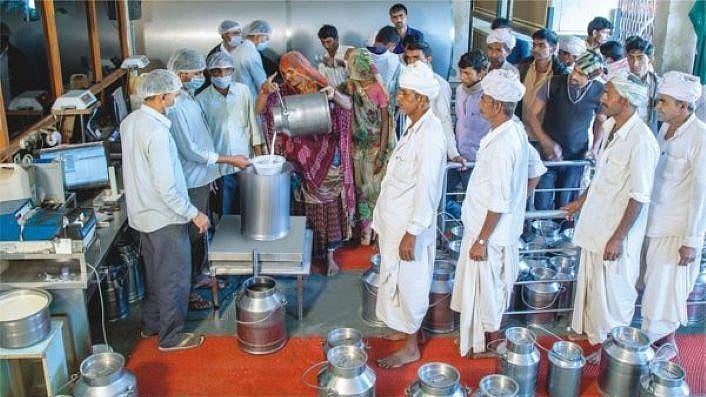 Indore Milk Producers To Demand ₹12 Per Fat, Release Of ₹10-12 Crore Pending Bonus At Sept 30 AGM