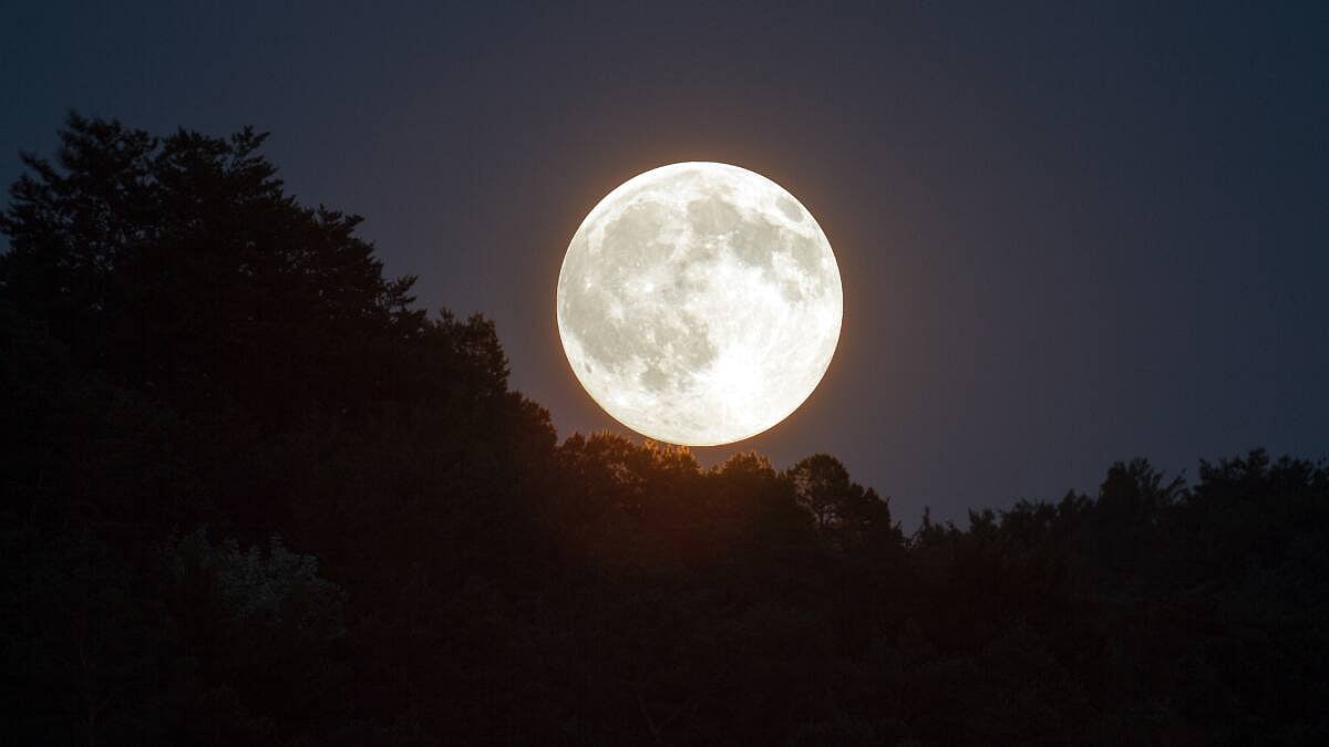 When Is Bhadrapada Purnima? Know Date, Rituals, Muhurat And Significance 