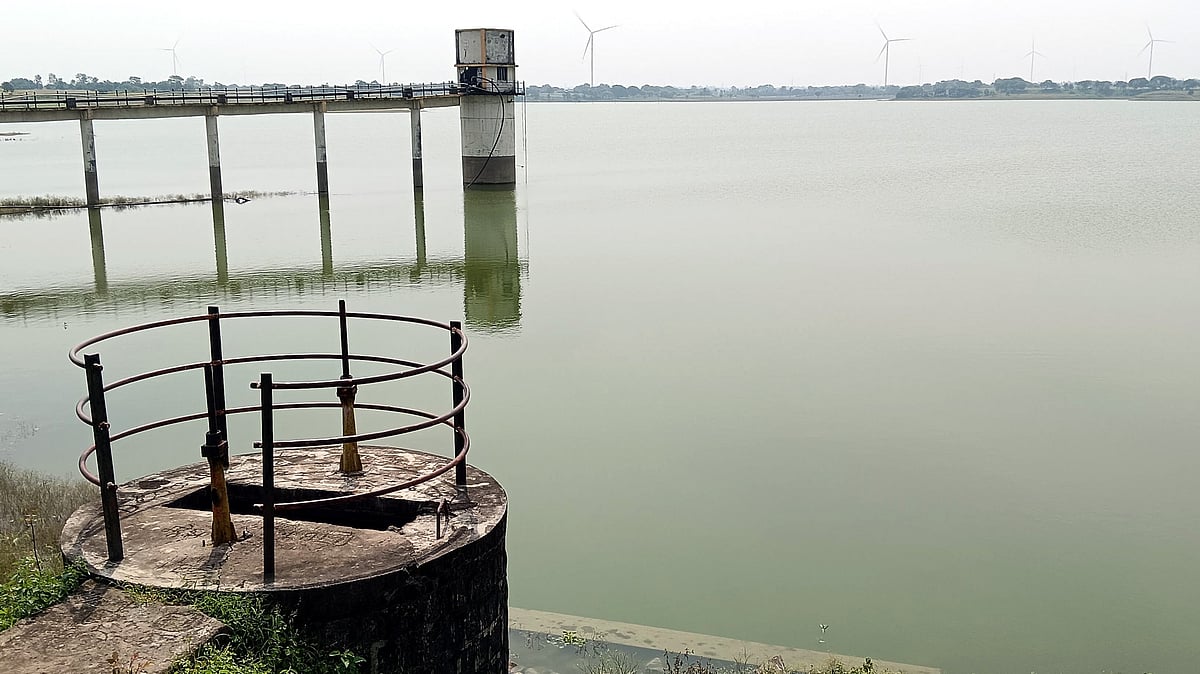 MP’s Rajgarh Farmers Turn To Early-Maturing Wheat As Water Shortage Threatens Rabi Season