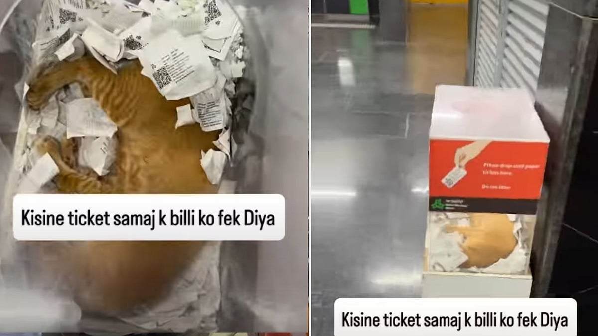 WATCH: Cat Takes A Nap Inside Mumbai Metro Ticket Box; Viral Video Melts Internet 