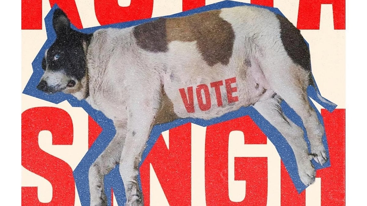 Delhi’s ‘Fat Dogs’ Face Off In Viral Contest To Crown City’s 'Chonkiest' Canine; Check Out Posts