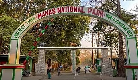 Manas National Park To Reopen For Tourists From October 2; Everything To Know About This UNESCO World Heritage Site