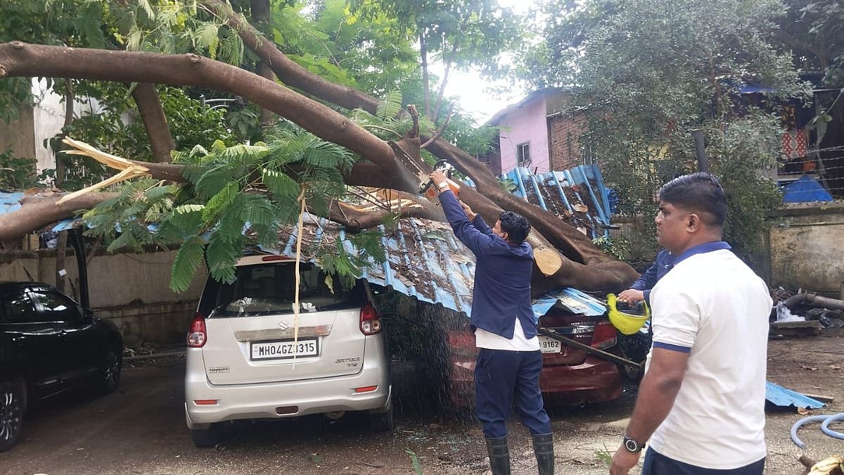 Thane: Tree Collapse Damages 2 Vehicles And Parking Shed At Majiwada Society, No Injuries Reported | VIDEO