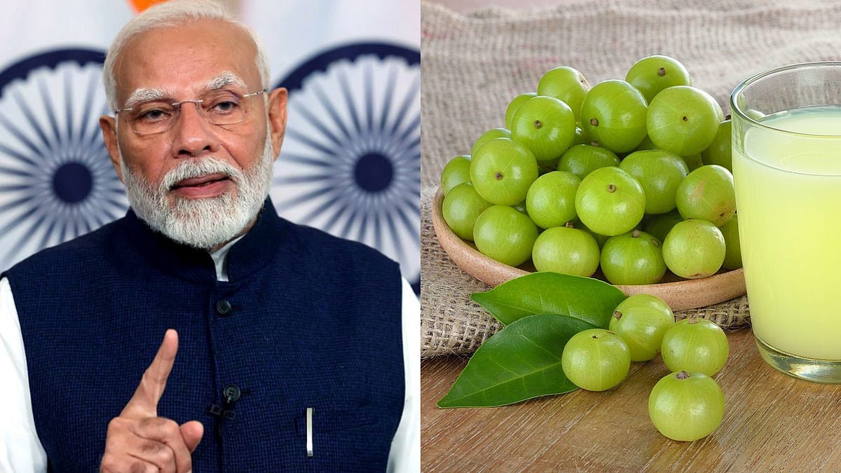'Mazedar Bhi, Healthy Bhi': PM Narendra Modi Hails Amla In Mann Ki Baat, Know Its Health Benefits