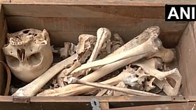 Skeleton-like object found among scrap in central Delhi; police investigate origin