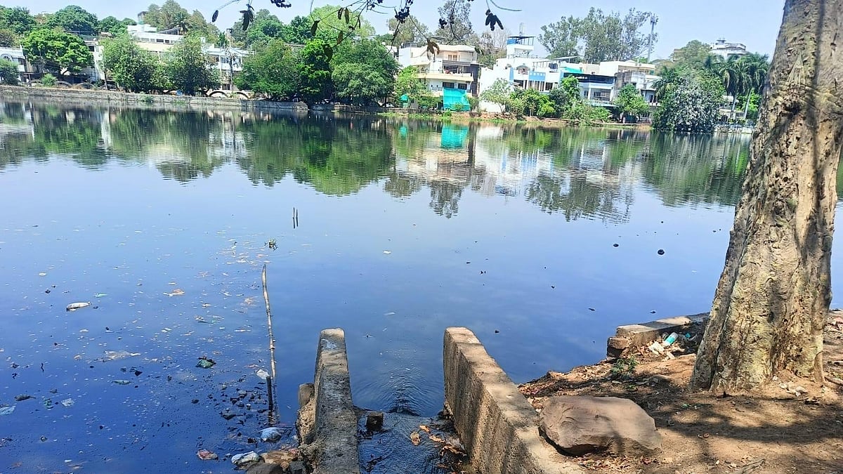 NGT Orders Mapping Of Sewage Outfalls Entering Bhopal Lakes, Seeks Untreated Discharge Data