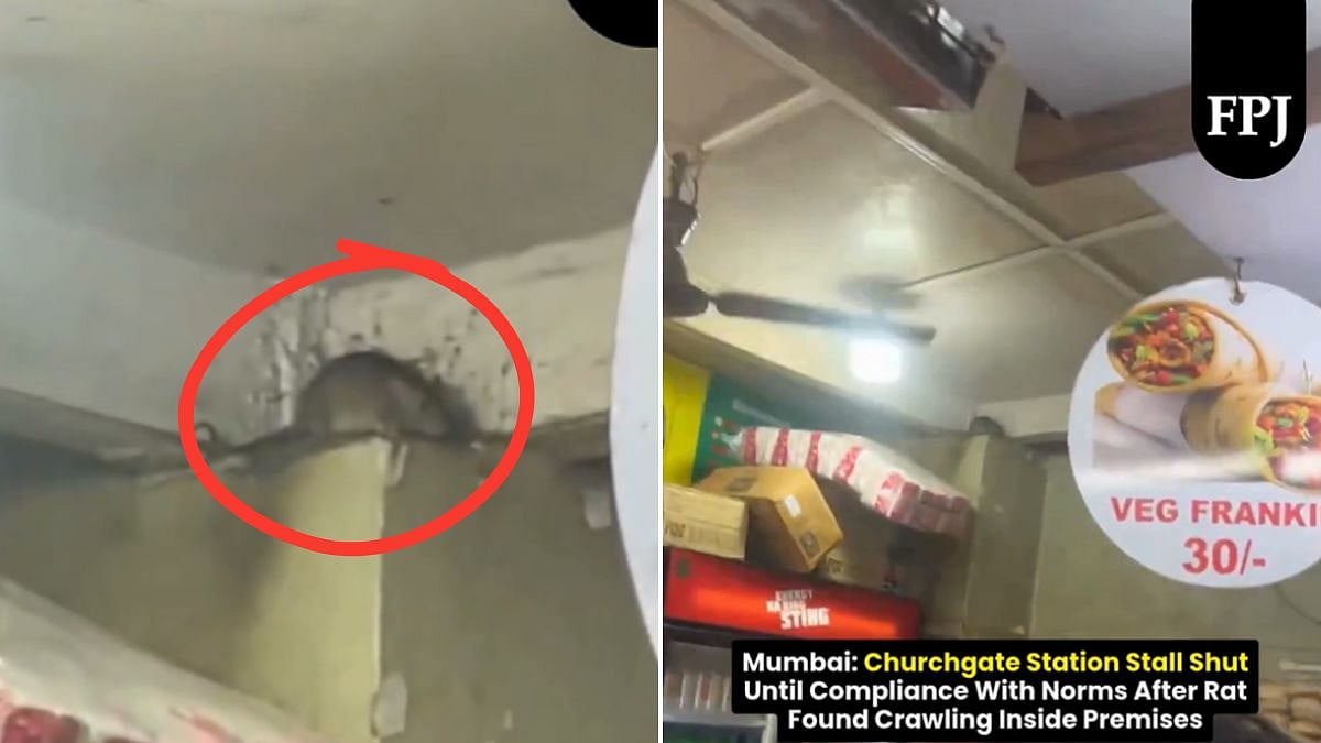 Mumbai: Rat Found Inside Churchgate Station’s Catering Stall; Western Railway Issues Show-Cause Notice | VIDEO