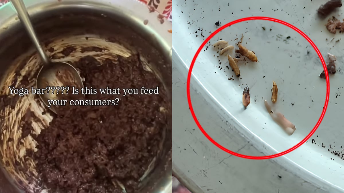 'I Feel Something Crawling In My Throat': Video Claims Moving 'Maggots' Found In Yoga Bar Oats, Netizens Share Similar Experiences - Watch
