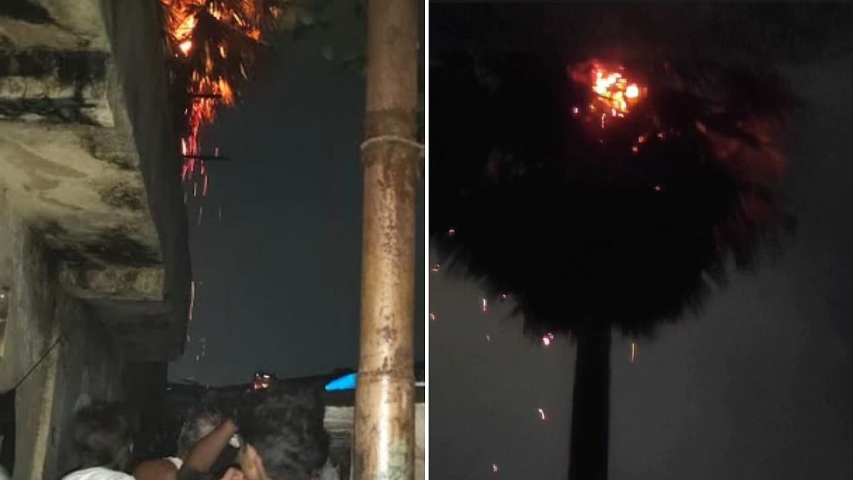 Lightning Strike Sets Tree Ablaze In Bhiwandi’s Narpoli, Disrupts Internet Services And Damages Electronic Systems