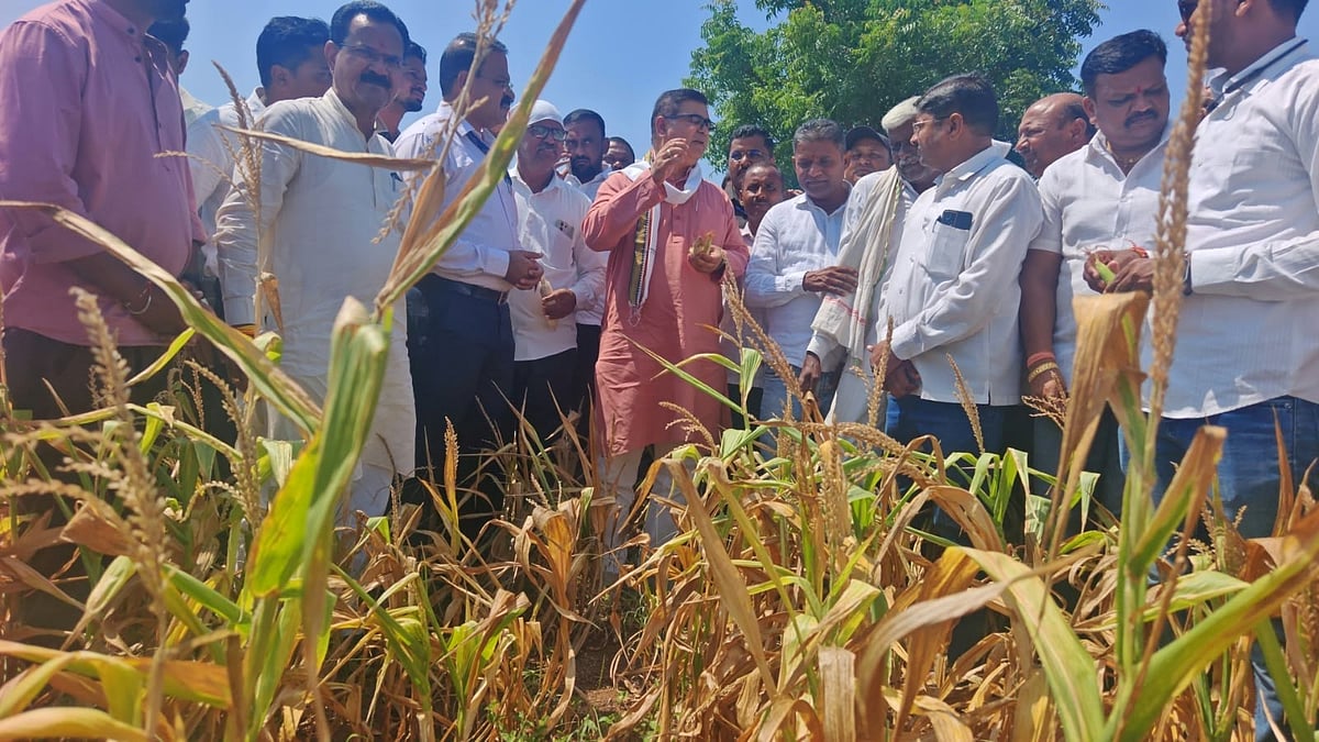 Dhule: Guardian Minister Rawal Inspects Drought-Hit Farms, Assures Farmers Of Aid