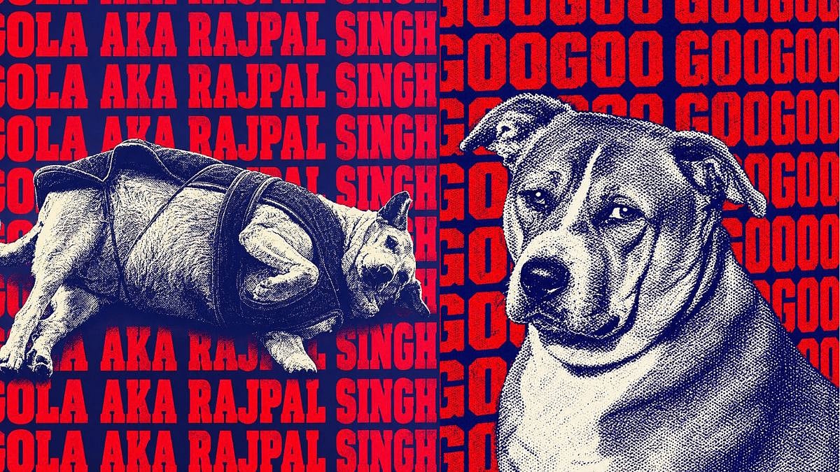 Delhi's 'Fat Dog' Competition: Late Gola AKA Rajpal Singh Wins By Beating Googoo By 39K Votes