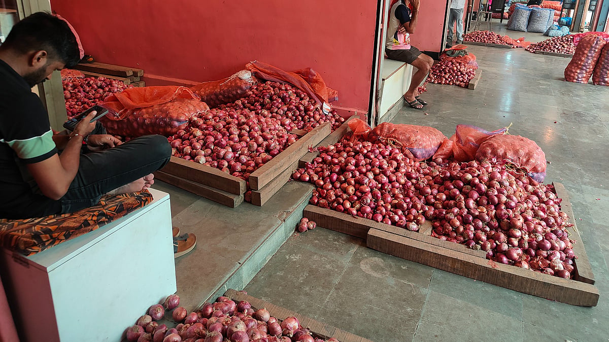 Egyptian Onions Enter Navi Mumbai's Vashi APMC At ₹38-₹40 Per Kg, Hotels Buy Cheaper Imports As Households Stay Away