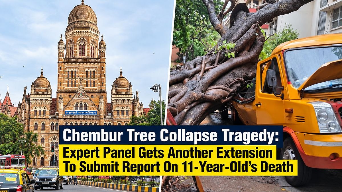 Chembur Tree Collapse Tragedy: Expert Panel Gets Another Extension To Submit Report On 11-Year-Old’s Death
