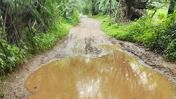 MP’s Dhar Villagers Demand Paved Road To Historic Bagh Caves As Muddy Route Hinders Access