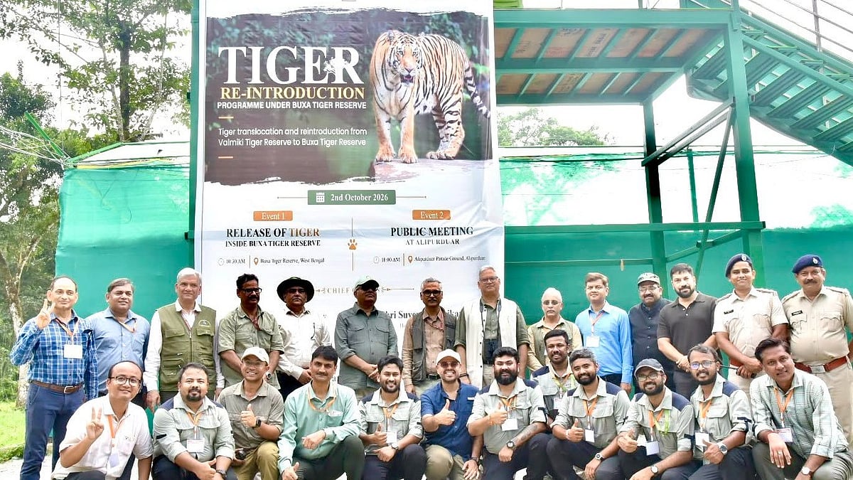 Buxa Tiger Reserve Gets Tigress T138 From Bihar's Valmiki Reserve, 3 More Tigers Planned In 2 Months