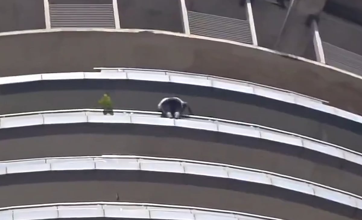 Noida Supernova Suicide: Young Man Dies After Jumping From 43rd Floor, Body Recovered In Pieces; Police Probe Underway
