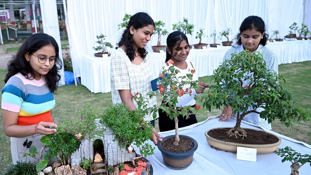Bhopal Bonsai Exhibition Showcases Over 300 Miniature Trees, Some Up To 50 Years Old