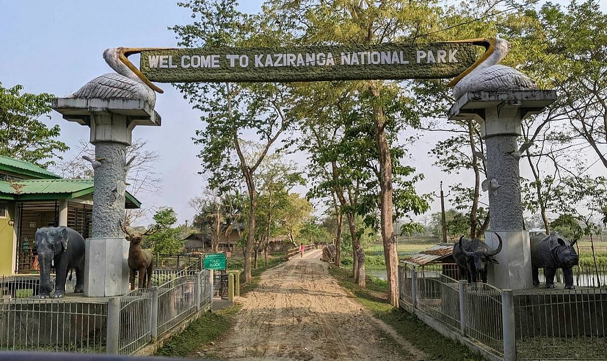 Kaziranga National Park Reopens For 2026–27 Season: Safari Timings, Booking Details And What To Know
