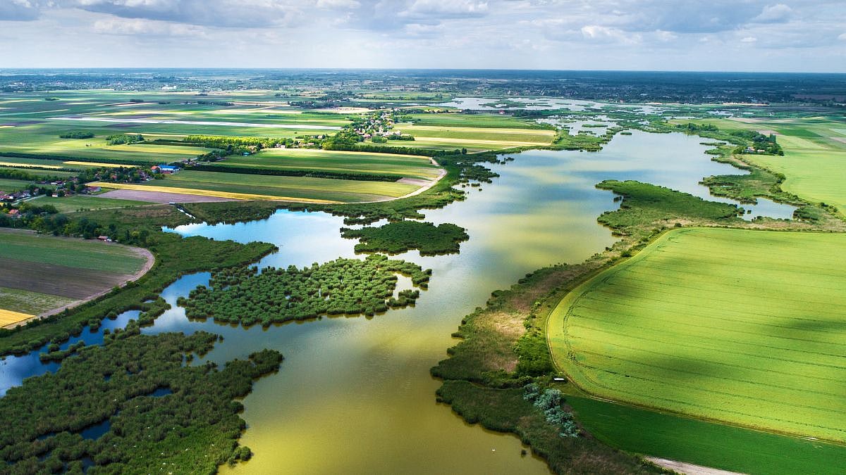 National Wildlife Week 2026: Why Coexisting With Nature Is Essential For A Biodiverse Future