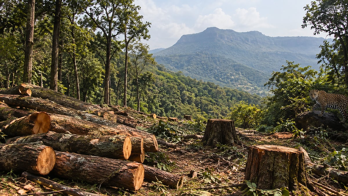 Nashik: 155 Acres Of Forest In Igatpuri Set For Felling, 6,234 Trees To Be Cut