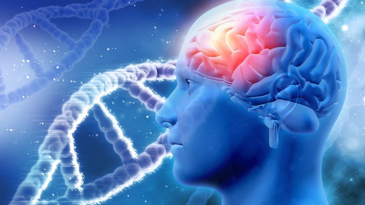 World Meningitis Day 2026: Bhopal Neurologists See 7-8 Patients Daily As Cases Rise In MP