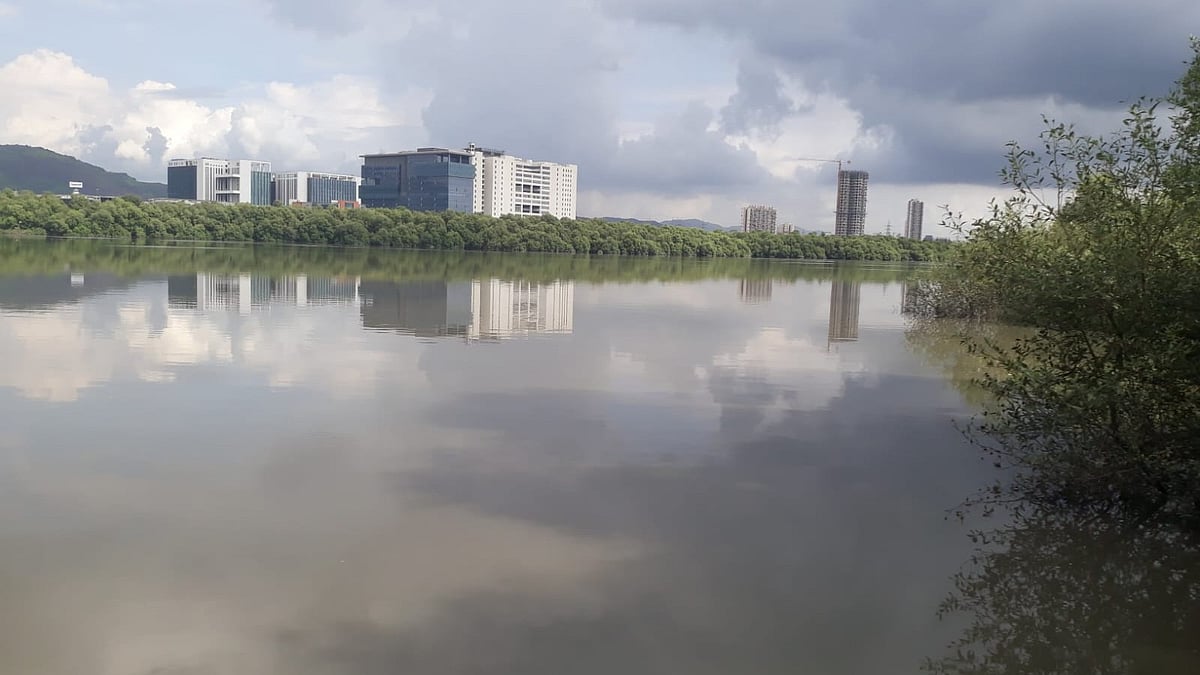 MMB Directs MMRDA To Review Koli Fisherfolk Objections Before Proceeding With Kopri–Patni Cable-Stayed Bridge