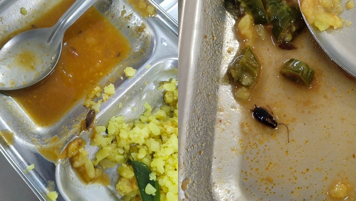 Worms, Plastic Found In Pune University Girls' Hostel Mess Despite Vice-Chancellor's Inspection