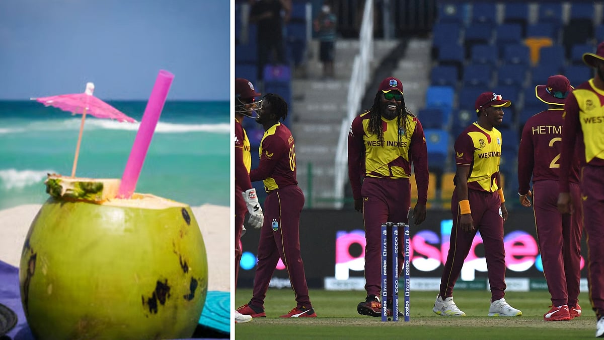 West Indies Seek Extra Coconut Water For Players Ahead Of Indore T20 Clash