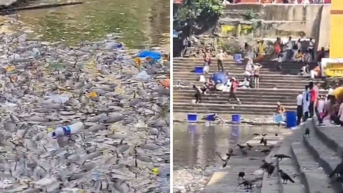 Banganga Fish Deaths: BMC Calls Priests, Residents’ Meeting To Prevent Pollution During Pitru Paksha As Disturbing Visuals Surface