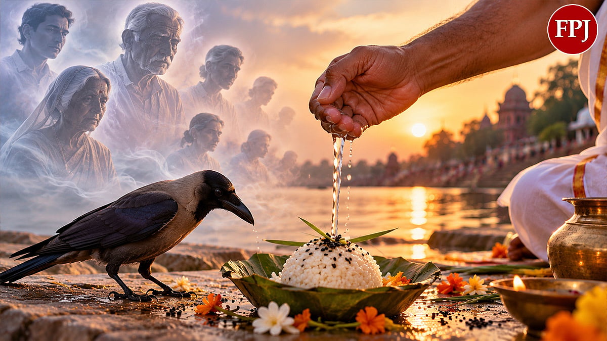 Why Are Crows Fed During Shradh? Know The Belief Behind This Pitru Paksha Ritual