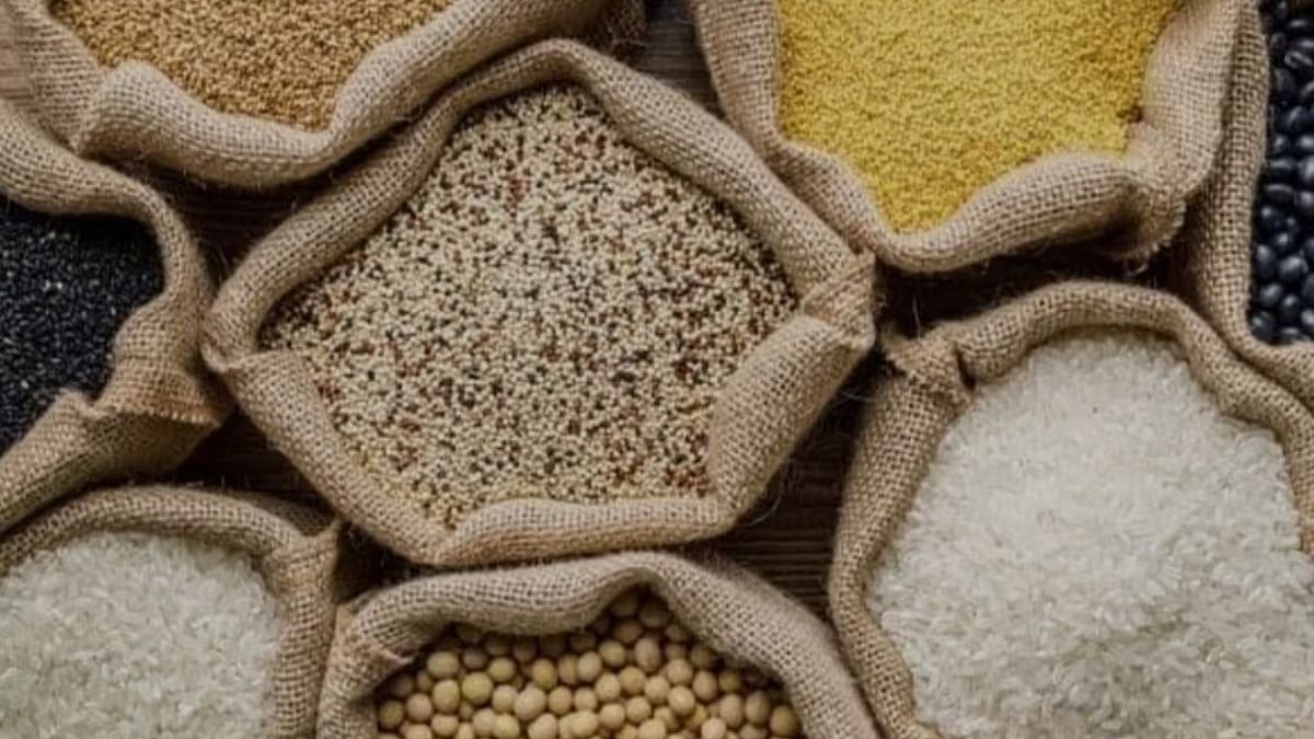 Diwali Price Shock! Pulses, Rice, Jowar & Wheat Turn Costlier Across Maharashtra