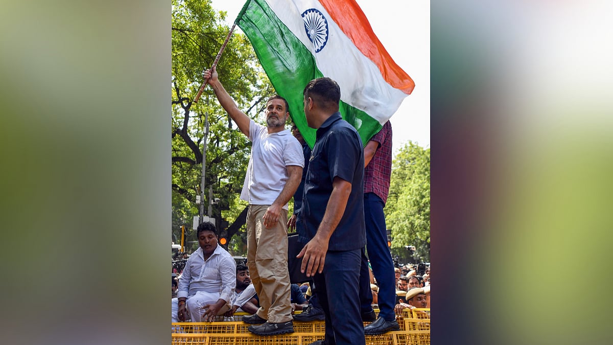 From Climbing Barricades To Waving The Tricolour: Rahul Gandhi’s High-Voltage Moments During INDIA Bloc Protest | VIDEOS