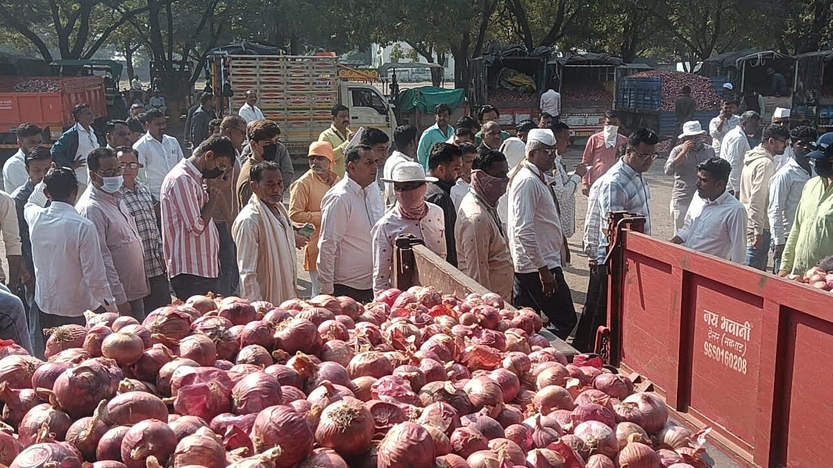 Nashik: Egyptian Onions, Fresh Kharif Arrivals Put Pressure On Onion Prices