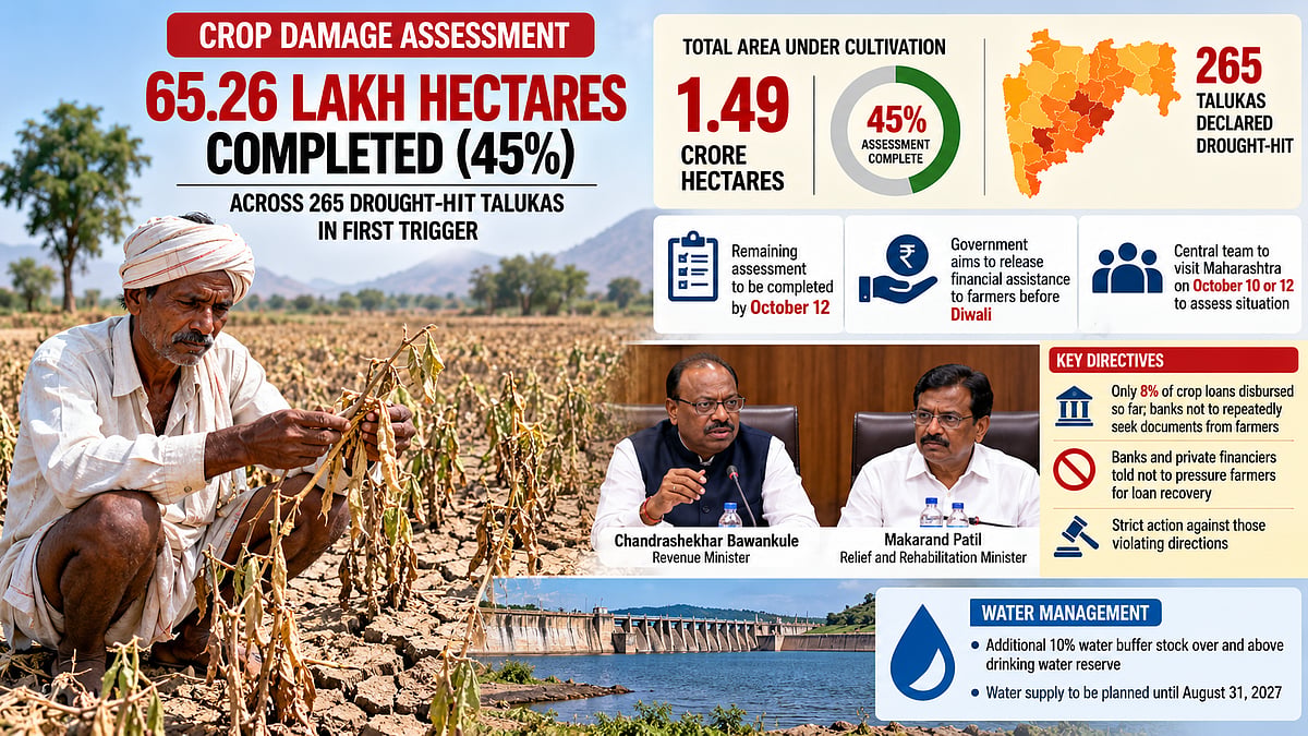 Maharashtra Drought: Crop Damage Assessment Completed On 65.26 Lakh Hectares; Panchnamas To Finish By October 12