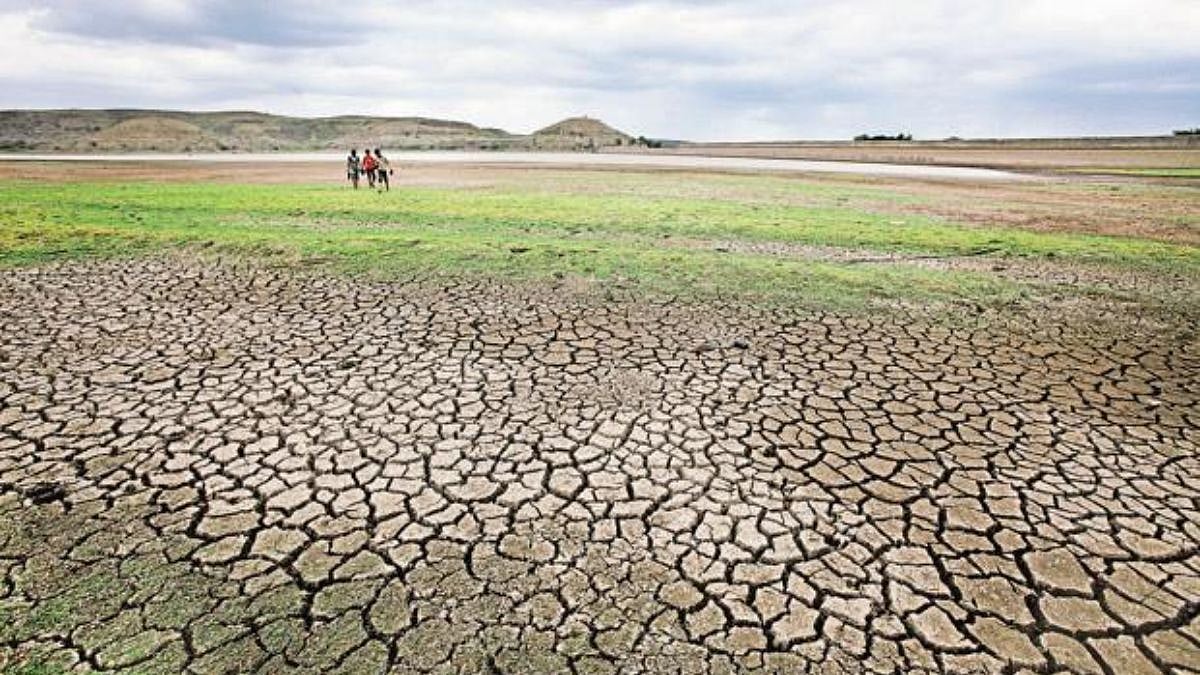 Latur Drought Crisis: Administration Unveils 4-Pronged Plan For Drinking Water, Cattle Fodder, Rural Jobs & Long-Term Water Conservation