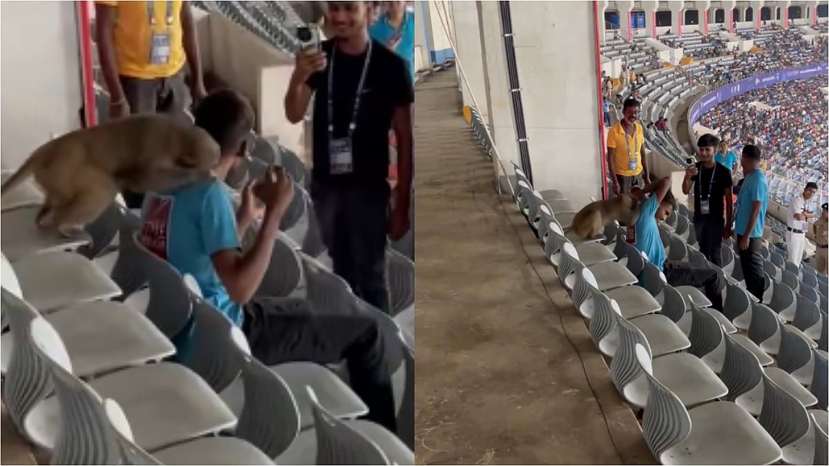 Monkey Attacks, 'Neck-Bites' One Of Few Spectators At Salt Lake Stadium In Kolkata During India vs Uruguay Clash; VIDEO
