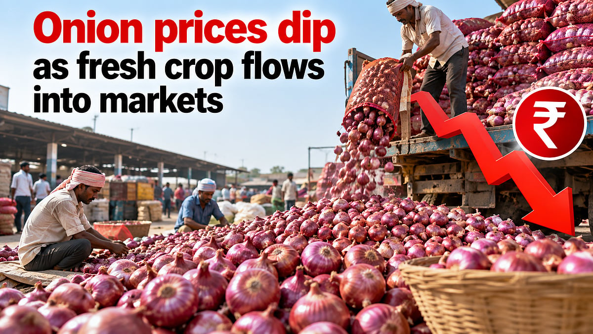 Onion Prices Ease Ahead Of Festive Season As Kharif Arrivals Rise, Maharashtra Mandi Rates Fall 13%
