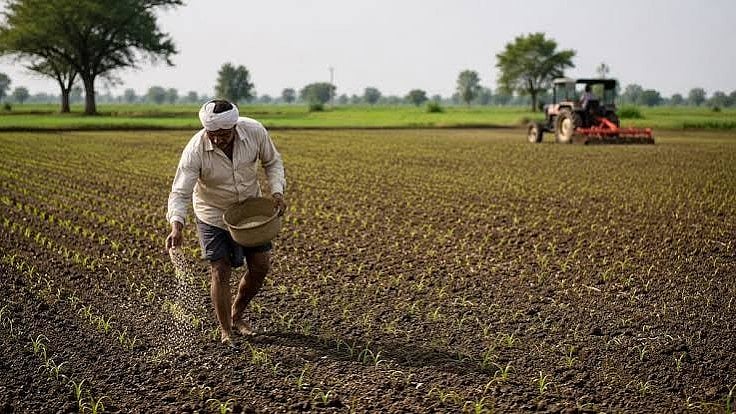 Water Crunch Reshapes Rabi Crop Plans In Indore, Farmers Shift Focus From Wheat To Gram
