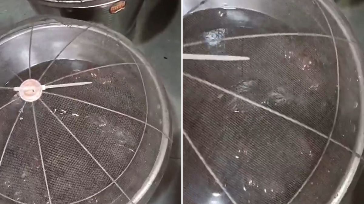 Bhiwandi: Live Rat Allegedly Spotted Swimming In Gulab Jamuns, FDA Issues Stop-Business Notice | VIDEO