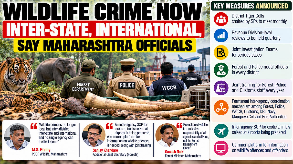 Maharashtra To Strengthen Forest-Police Coordination Against Wildlife Crime; District Tiger Cells To Meet Every Month