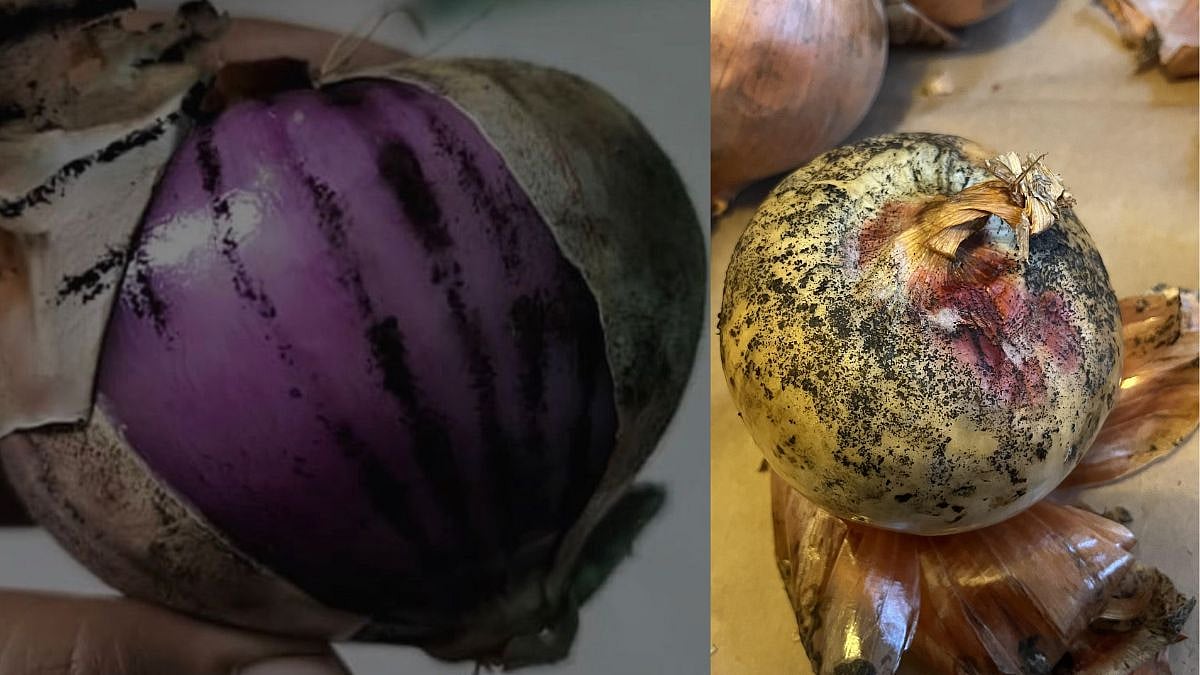 Spotted Black Marks On Your Onions? Here’s What They Mean And What You Should Do