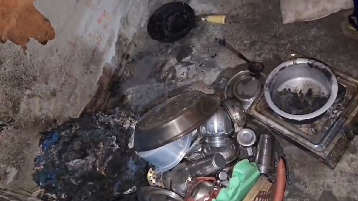 Delhi Tragedy: Woman Dies After Cylinder Catches Fire At House In Outer North Delhi's Sannoth Village | Video