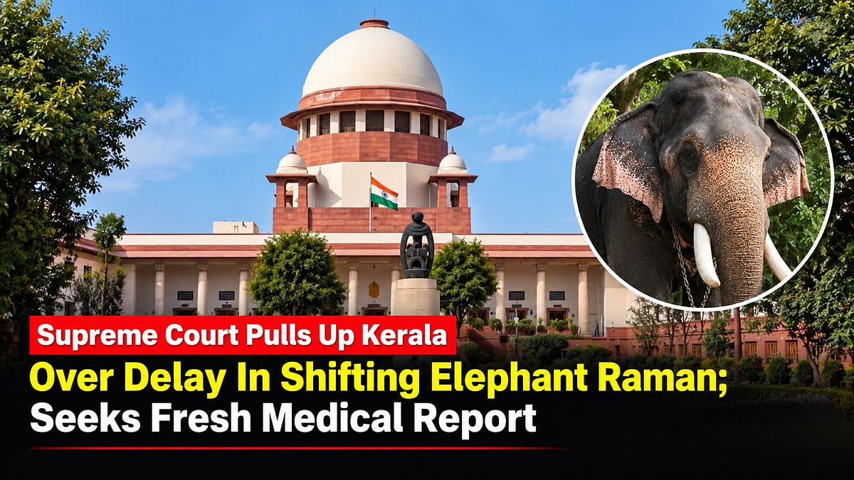Supreme Court Pulls Up Kerala Government Over Delay In Shifting State’s Tallest Elephant Raman, Seeks Fresh Medical Report