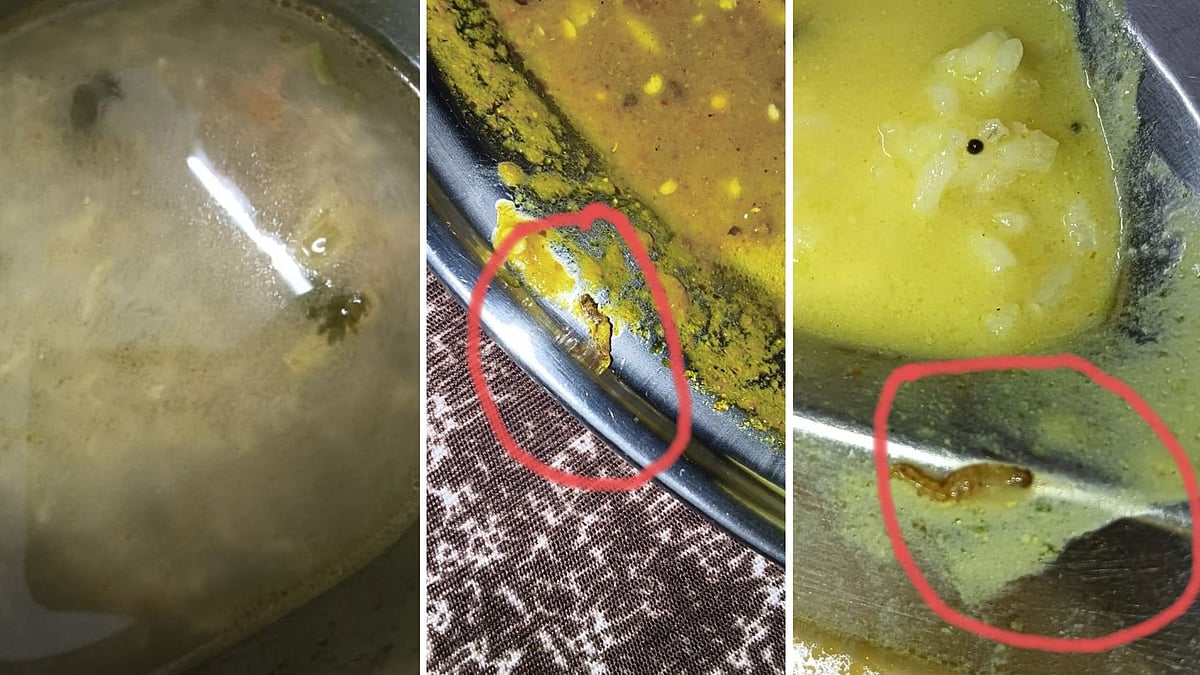 Girls At Bhopal's Government Scheduled Caste Hostel Complain About Insects Floating In Watery Curries, Misbehaviour By Kitchen Staff