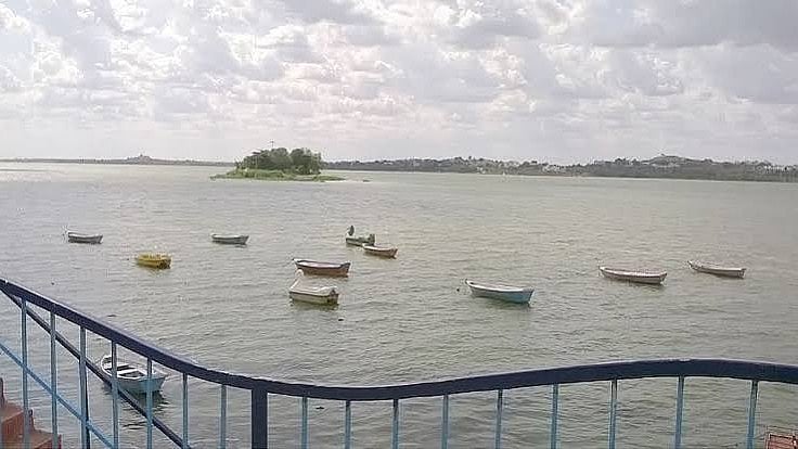 Bhopal Upper Lake Under NGT Scanner Over Pesticide Concerns; Regular Water Tests Ordered, Water Chestnuts To Be Examined In 3 Months