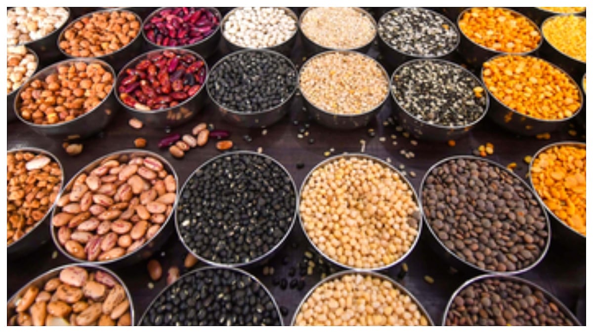 India's Pulse Imports Plunge 31.52%, Domestic Production Jumps To 274 Lakh Tonnes Under Aatmanirbharta Mission