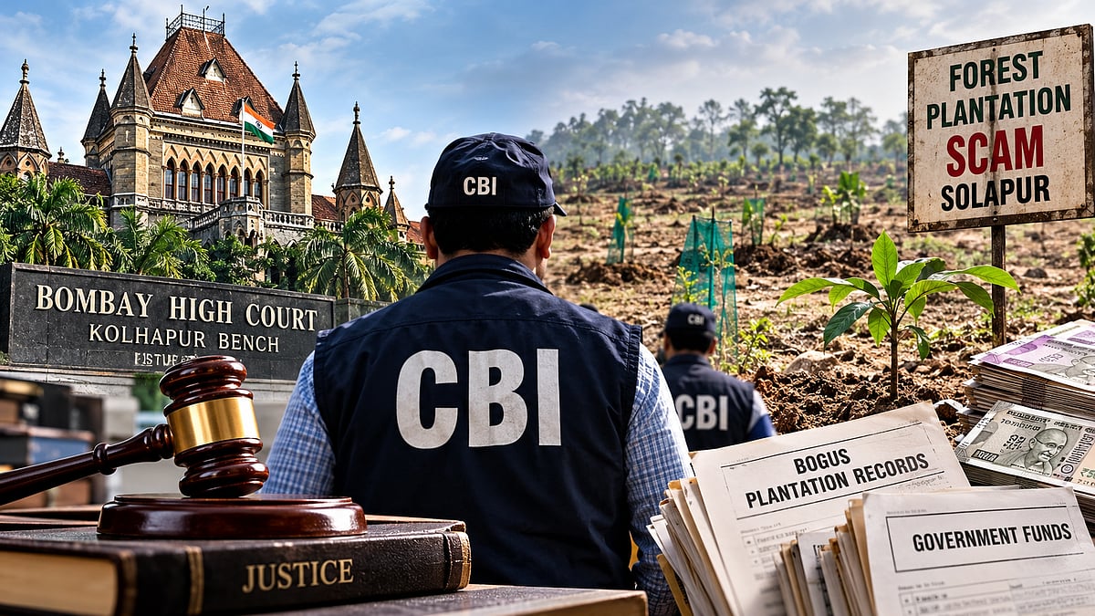 Solapur Forest Plantation Scam: CBI Takes Over Multi-Crore Fraud Probe After Bombay HC Slams Police For Four-Year Delay