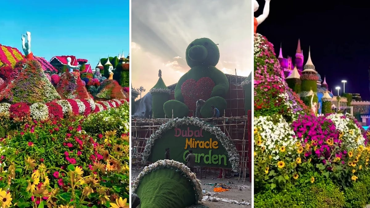 Dubai’s Miracle Garden Themed Durga Pandal Set Up In Bhopal; Giant Bear, Dancing Dolls And Emirates-Like Floral Wonders Steal The Show This Navratri